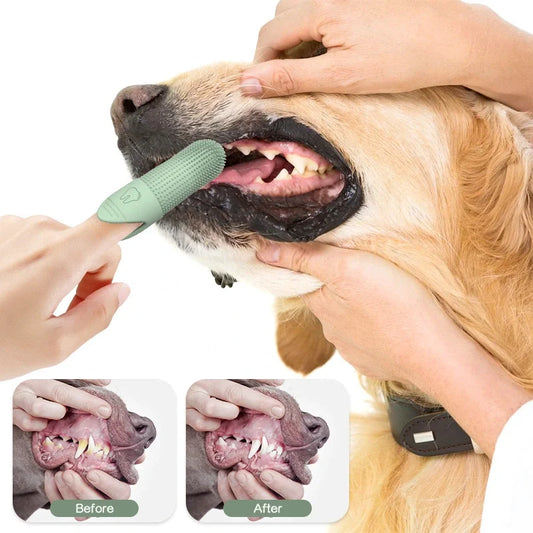 Hunde Fingerzahnbürste