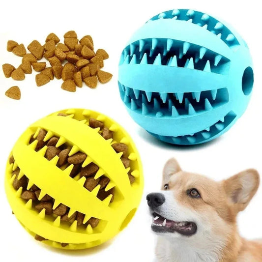 Snackball für Hunde